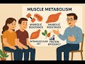 Optimizarea răspunsului muscular la proteine.