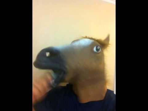 horse-mask-brushing-teeth