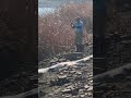 Los Vaqueros Contra Costa Water Dirstrict dumps thousand of pounds of trout