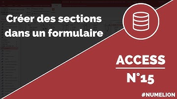 Tutoriel et cours Access n° 15 : Créer des sections dans un formulaire
