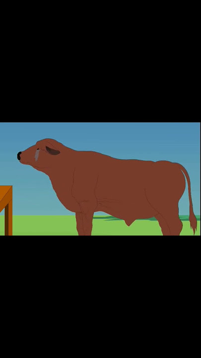#keatonkeaton999 #2000s #oldmemes #oldvideos  #albinoblacksheep #trendingvideo