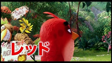 3D映画『アングリーバード』日本版15秒予告映像