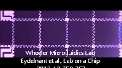 Eydelnant Lab on Chip 2012  - Dry passive dispensing video