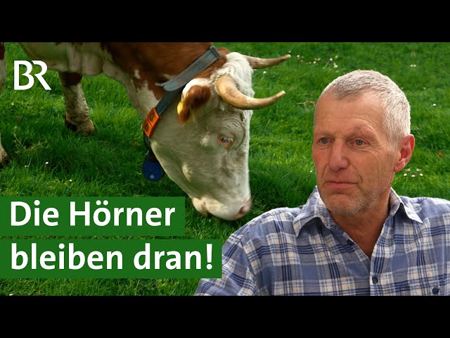 Besuch bei Bayerns erstem Demeter-Betrieb | Unser Land | BR class=