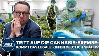 Cannabis-Legalisierung Nrw-Justizminister Limbach Strebt Verzögerung Des Legalen Kiffens An