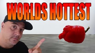 World's Hottest Pepper Carolina Reaper vs 7 Pot Primo