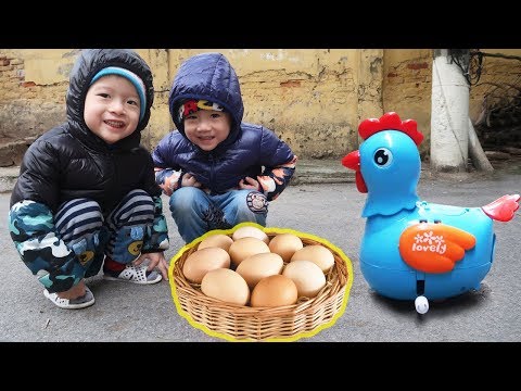 Trò Chơi Đi Săn Trứng Gà và Con Gà Đẻ Trứng| Gia Đình Baby Shark | Foci