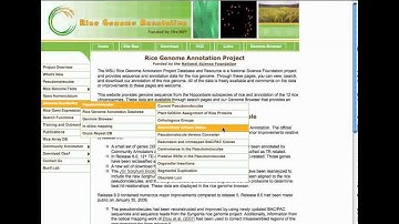 Rice Genome Annotation Project Website: Genome Annotation Tutorial