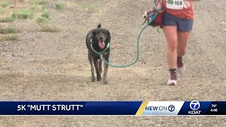 'Mutt Strut' gets dogs and owners up and moving
