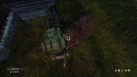 DayZ || First Bear Encounter!