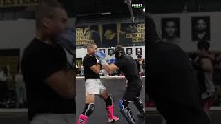 Borics Ádám Visszatér