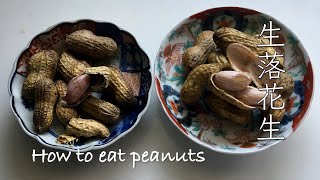 [かんたんレシピ] 生ピーナッツの食べ方　塩茹で＆炒りピーナッツ　＃peanuts＃生ピーナッツ