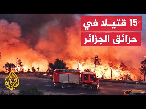 فيديو: منطق التجربة