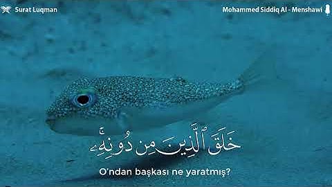 هَٰذَا خَلْقُ اللَّهِ فَأَرُونِي مَاذَا خَلَقَ الَّذِينَ مِن دُونِهِ - القارئ محمد صديق المنشاوي