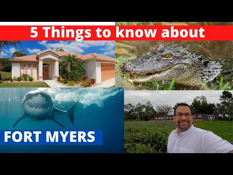 Видео: Лучшие занятия в Форт-Майерс, Флорида