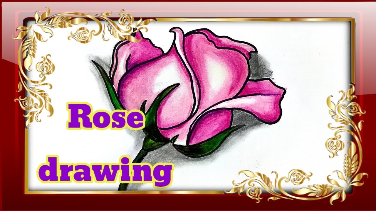 How to draw Rose Flower drawing |Art gallery 14||