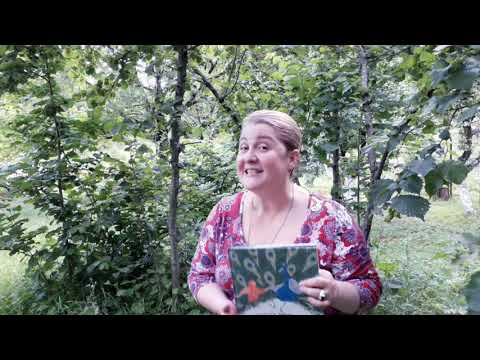 ირინეს ზღაპრები