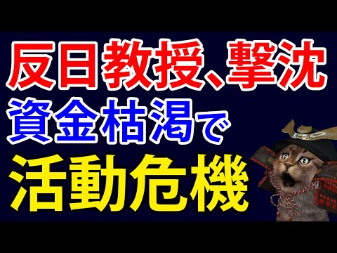 反日活動が限界！？例の教授が外務省に対抗するも明るみになってしまったピンチとは【アカツキ】