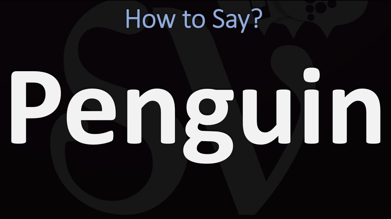 How To Pronounce Penguin? (Correctly)