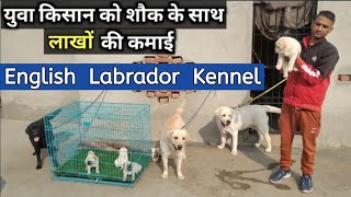 क्या आप भी करना चाहते हैं शौक के साथ लाखों की कमाई ? | English Labrador Kennel