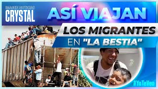 Así viajan migrantes en "La Bestia" rumbo a Ciudad Juárez | Noticias con Crystal Mendivil