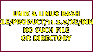 Unix & Linux: bash: /u01/app/oracle/product/11.2.0/xe/bin/nls_lang.sh: No such file or directory