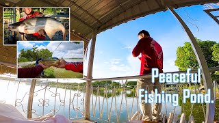 Good fishing pay pond near by Phnom Penh (got spined by a fish)