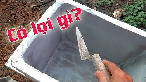 CÁCH XỬ LÝ THÙNG XỐP TÔ XI MĂNG NUÔI CÁ 7 MÀU - GUPPY | Túc Thịnh