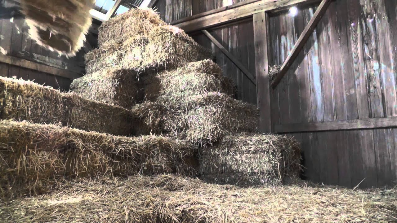 Farm S.O.S Video Series- Dust Hazards