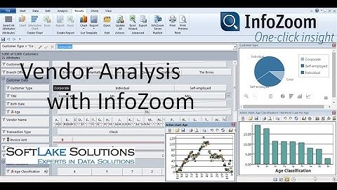 Audit Data Analytics using InfoZoom, Top 10 Vendor Analysis
