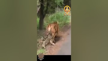 Sabarimala