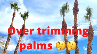 CLIMBER OVER TRIMS PALMS (hurricane style trim)