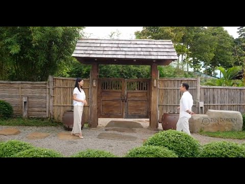 Video: Mini Zen Garden - Thiết Kế Vườn Thiền Thanh Bình Với Những Cây Mỡ