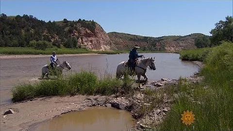 Teddy Roosevelt's ranch
