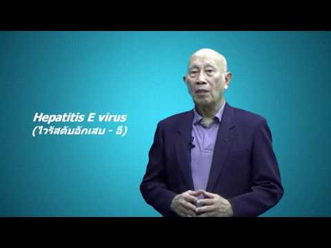 ไวรัสตับอักเสบ - อี / Hepatitis E virus (HEV)