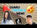 Charli D’amelio TikTok New Compilation 2020 *REACTION* 😍🤤
