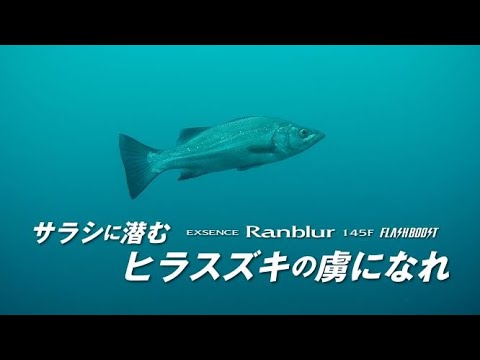 【シマノ21AW新製品】エクスセンスランブラー145Fフラッシュブースト　サラシに潜むヒラスズキの虜になれ！