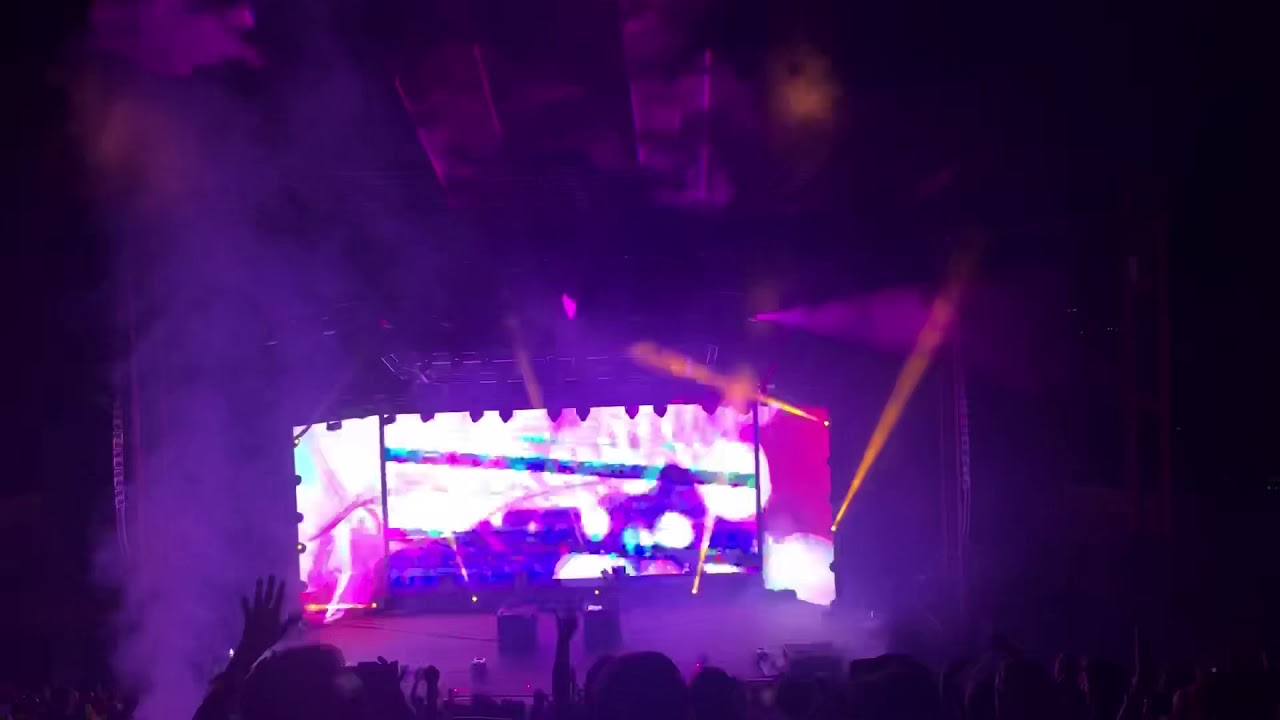 Griz Rocks GRiZ Rocks - YouTube