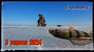 Рыбалка на Чудском озере. Погода - БОМБА!!! 3 марта 2024. Закрываем сезон твёрдой воды .Vlad TV.