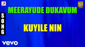 Meerayude Dukavum - Kuyile Nin Malayalam Song | Prithviraj, Ambili Devi, Renuka Menon