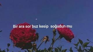 Yanmadın Mı Taş Olsan Çatlardın Yar