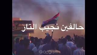 شهداءنا ماماتوا