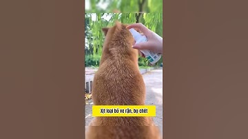 Chai xịt ve rận, bọ chét cho chó mèo.An toàn tự nhiên và hiệu quả bất ngờ.