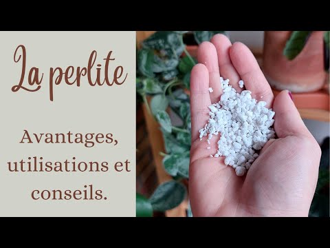 Vidéo: Comment utiliser la perlite pour les plantes ?