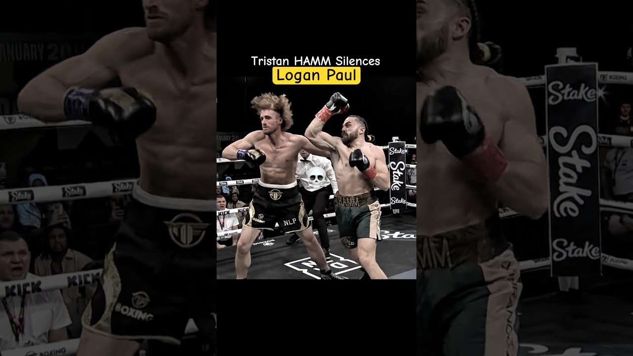 Logan Paul KO? Go Hamm or Go Home. Who’s next?