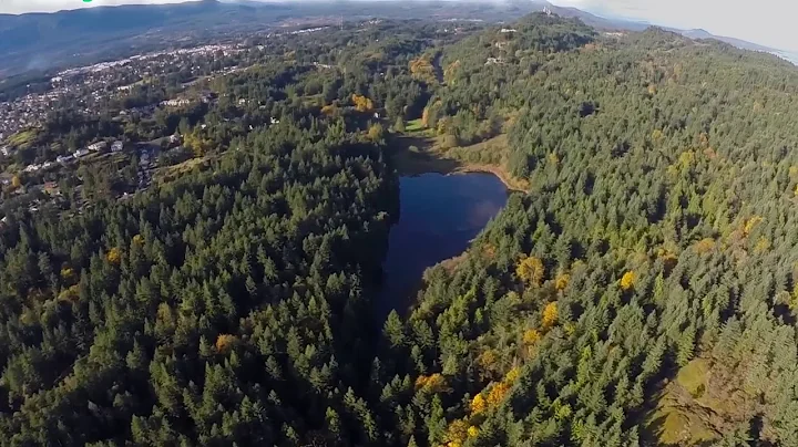 Linley Valley Park - one of Nanaimo's top 10