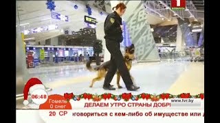 Утренние профессии. Инструктор-кинолог Утренние профессии. Инструктор-кинолог