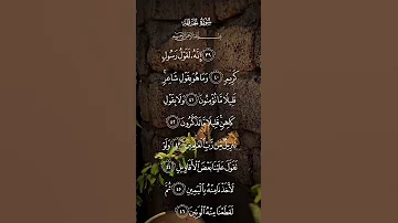 سورة الحاقة انه لقول رسول كريم وماهو بقول شاعر قليلا ماتؤمنون الاية ٤٠ إلى ٤٦ 