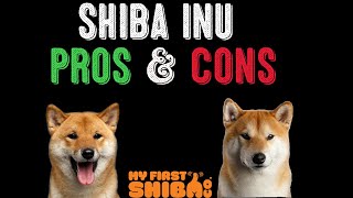 Shiba Inu - The Pros and the Cons by My First Shiba 10,998 views 2 years ago 10 minutes, 14 seconds