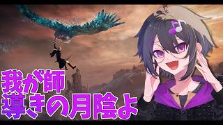 ナイトレイン三夜目、執行者で遊びます【ELDEN RING NIGHTREIGN】